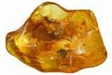 Detailed Fossil Ant (Formicidae) In Baltic Amber #139015-1